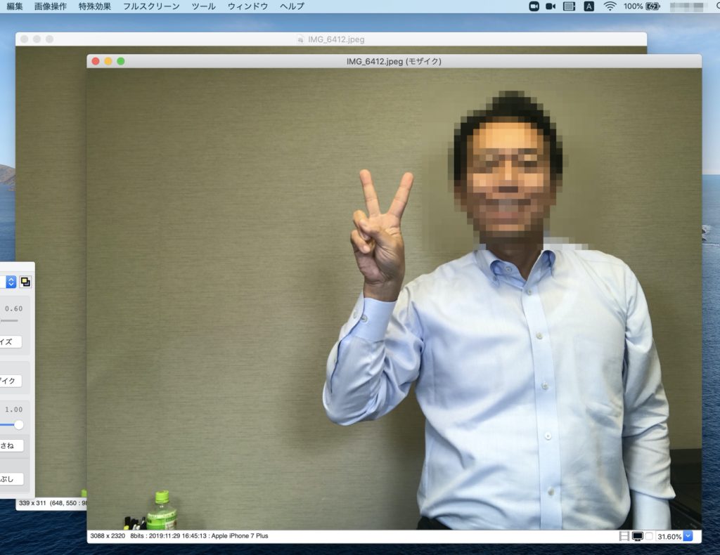 無料ソフト Toyviewerで画像にモザイク ぼかしをカンタンに入れる Mac Currentsogo