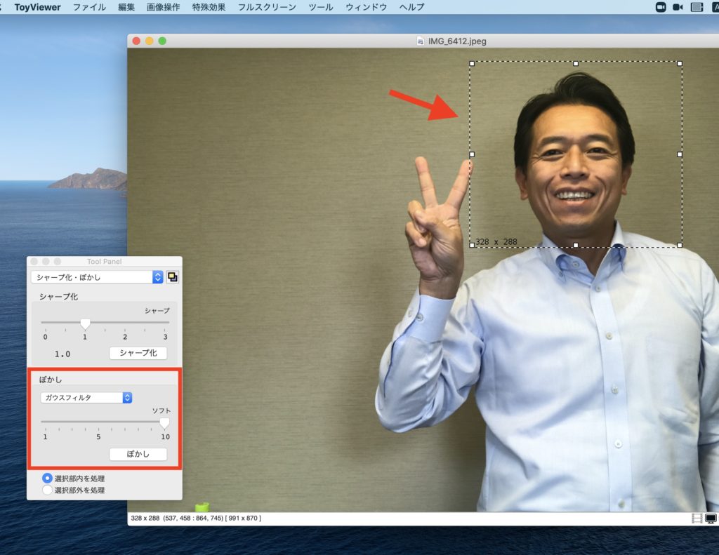 無料ソフト Toyviewerで画像にモザイク ぼかしをカンタンに入れる Mac Currentsogo